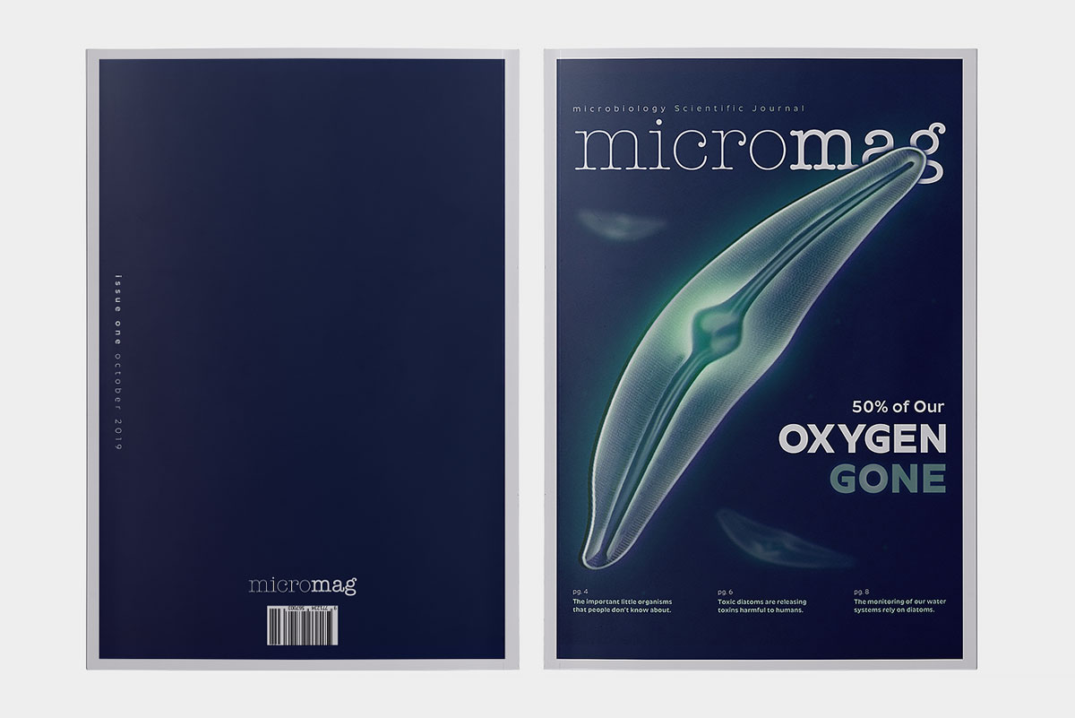 micromag-scientific-journal-publication-cover-image